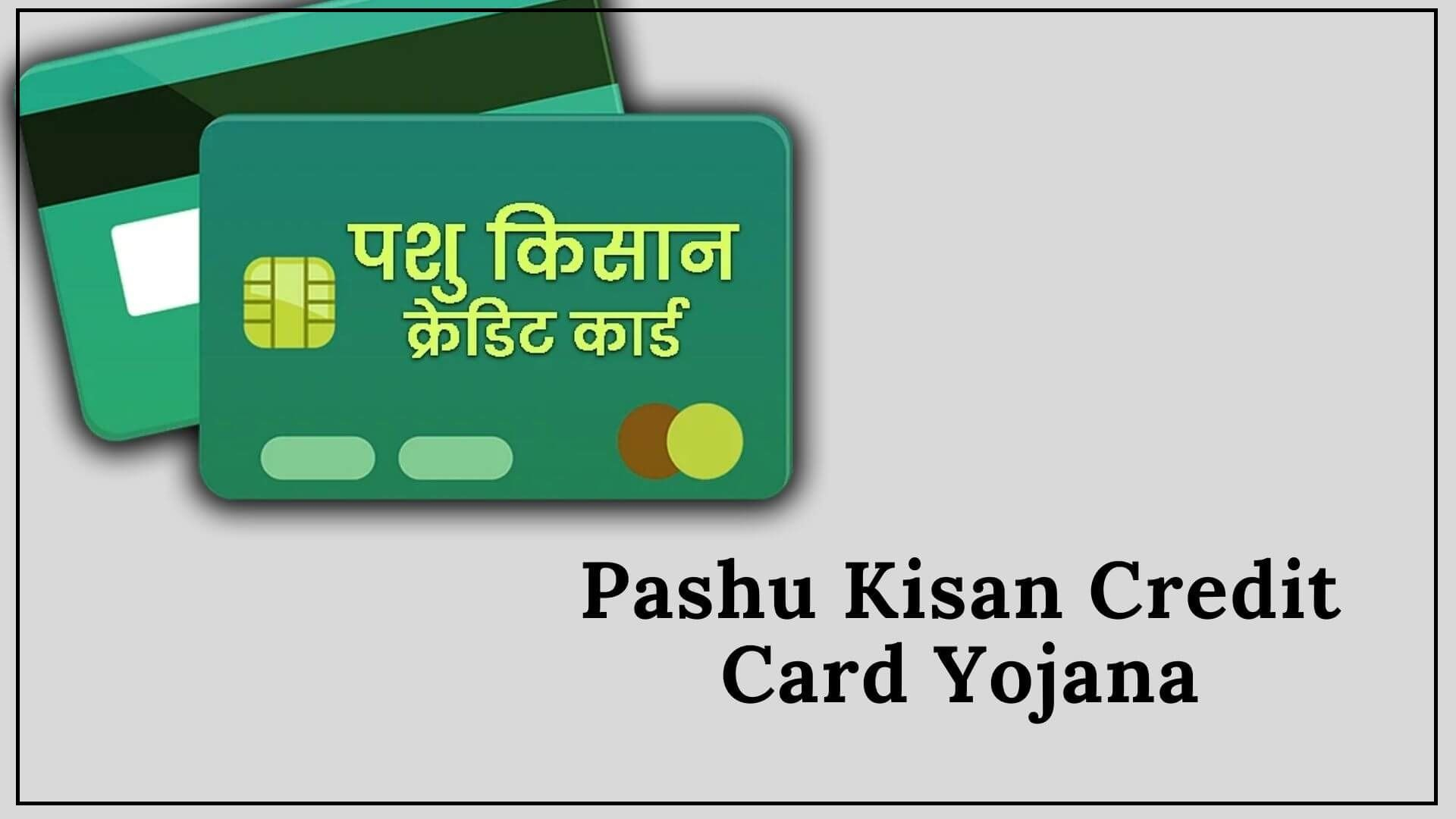 pashu_kisan_credit_card_f90d06c22c.jpg