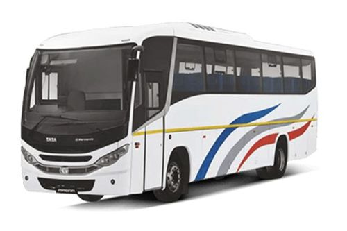 magna