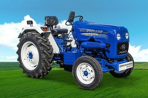orchard-dlx-lt