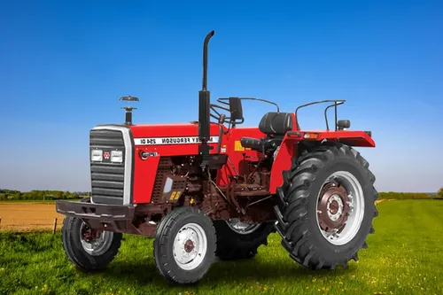 Massey Ferguson 254 Dynatrack 2WD