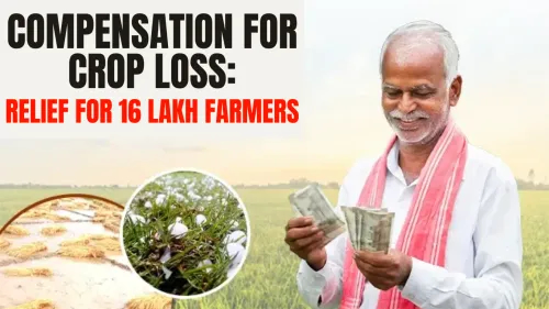 Compensation for Crop Loss: Relief for 16 Lakh Farmers