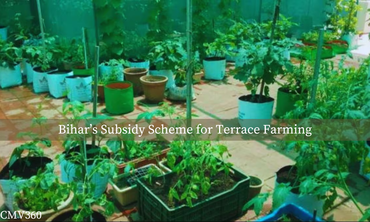 CMV_360_2_59e99d5b9b.png