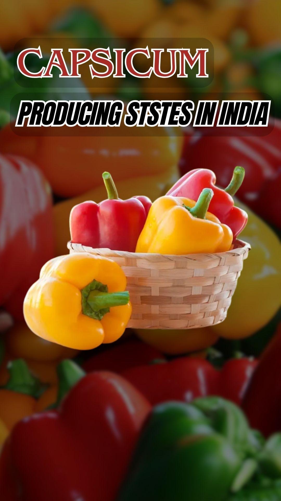 Capsicum Producing States in India