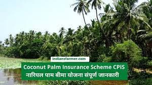 Coconut_Palm_dc8908b996.jfif