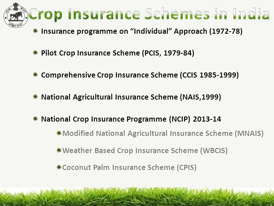 Crop Insurance.jpg