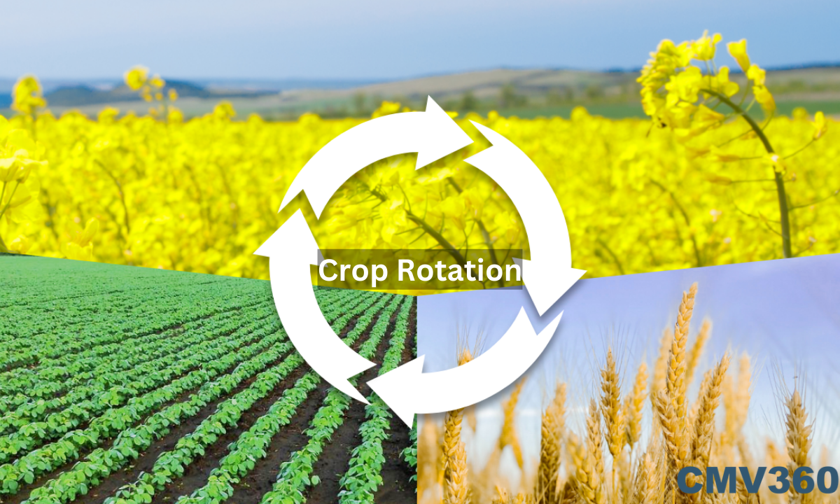 crop rotation and advantages of crop rotation