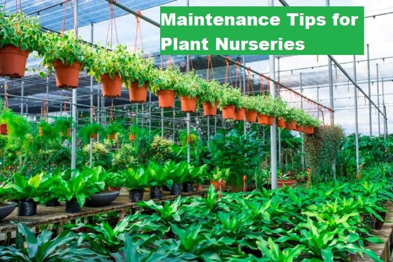 Maintenance_Tips_Nursery_27c26fddbb.jpg
