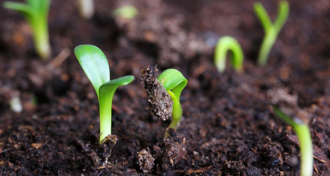 Organic Farming Portal