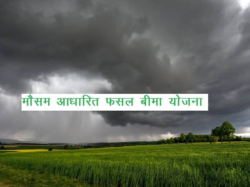 मौसम आधारित फसल बीमा CMV360