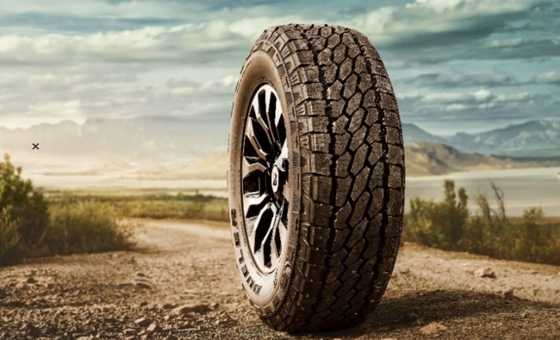 bridgestone tyre.PNG