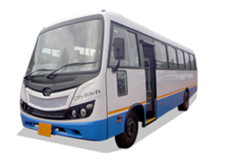 city buses.png