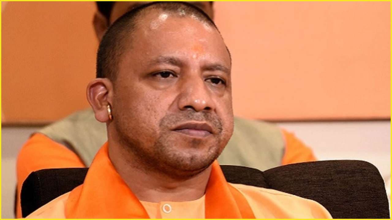 cm_yogi_9a5d1c2c77.jpg