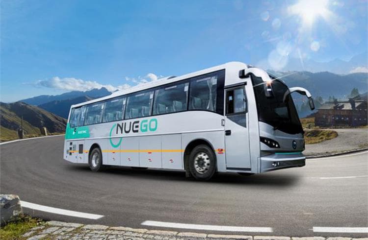 nuego buses.jpg