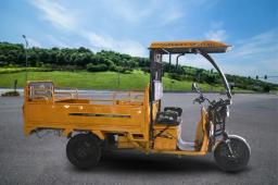 Terra Motors Pace E Cargo