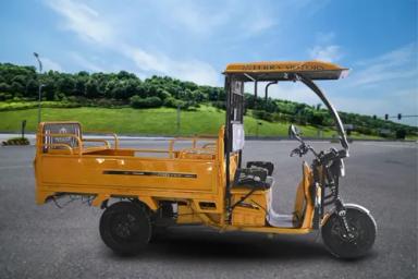 Terra Motors Pace E Cargo