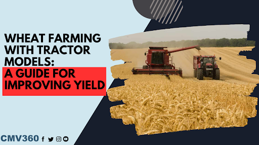 wheat farming process