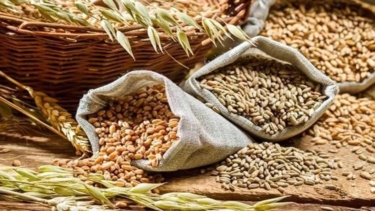 wheat-production.webp