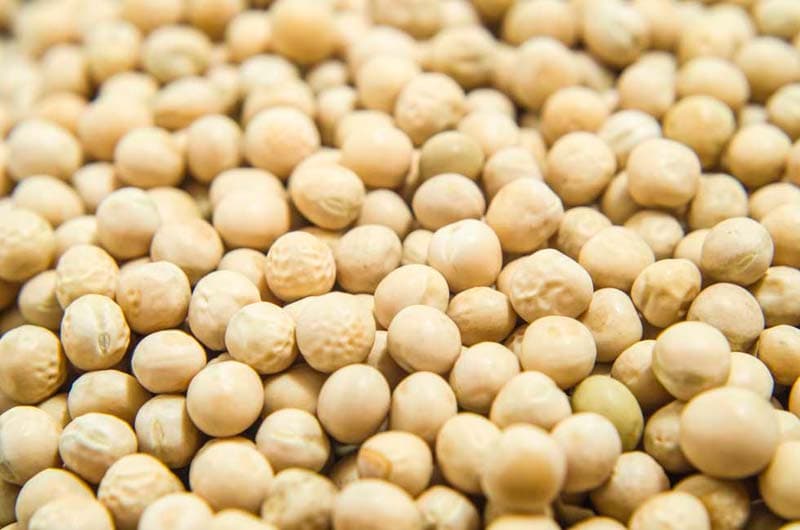 yellow_peas_edc8be8ee2.jpeg