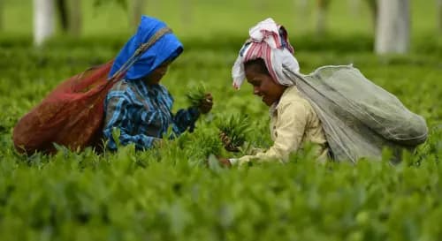 International Women's Day