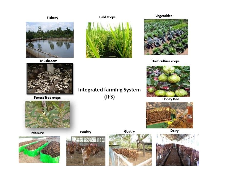 A Guide to Integrated Farming System (IFS)