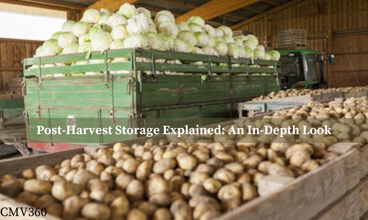 Post-Harvest Storage Explained: An In-Depth Look CMV_360_4e08dc4d65.png