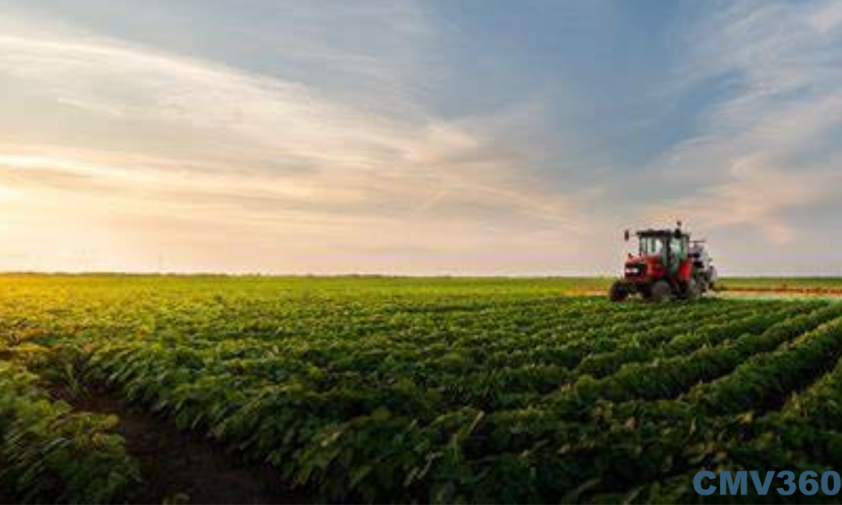 Cash Crop Farming: A Key Driver of Rural Prosperity in India Cash_Crop_Farming_A_Key_Driver_of_Rural_Prosperity_in_India_e7af0d6ea0.png