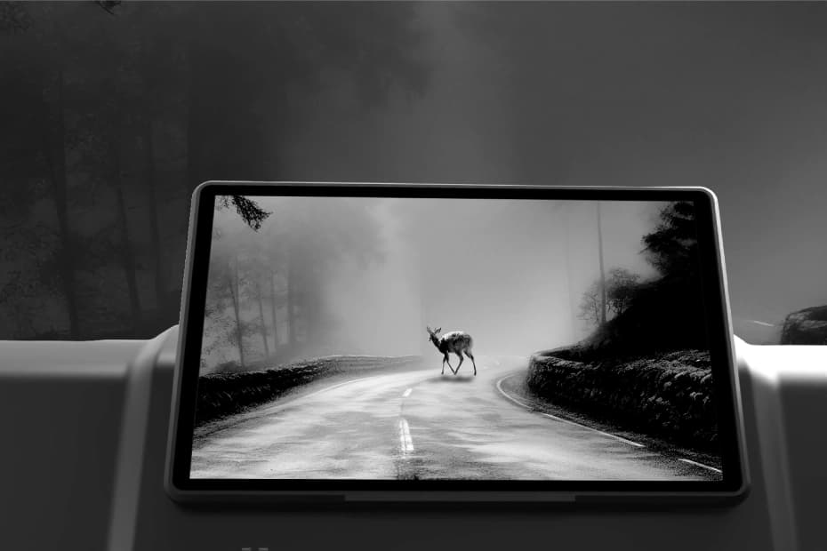 Euler StormEV LongRange200 Night Vision Assist, Dash Cam Euler StormEV LongRange200 Night Vision Assist, Dash Cam