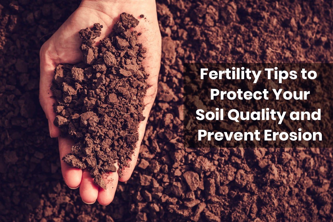 Fertility Tips to Protect Your Soil Quality and Prevent Erosion Fertility_Tips_to_Protect_d1522ba765.jpg