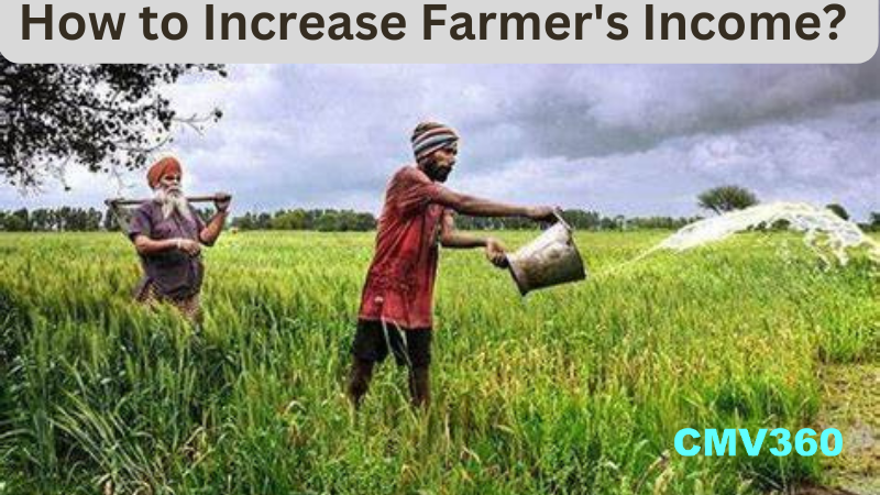 How to Increase Farmer's Income? Five strategies to increase farmers' income. How_to_Increase_Farmer_Income_Five_strategies_to_increase_farmers_income_1_03af154c74.png