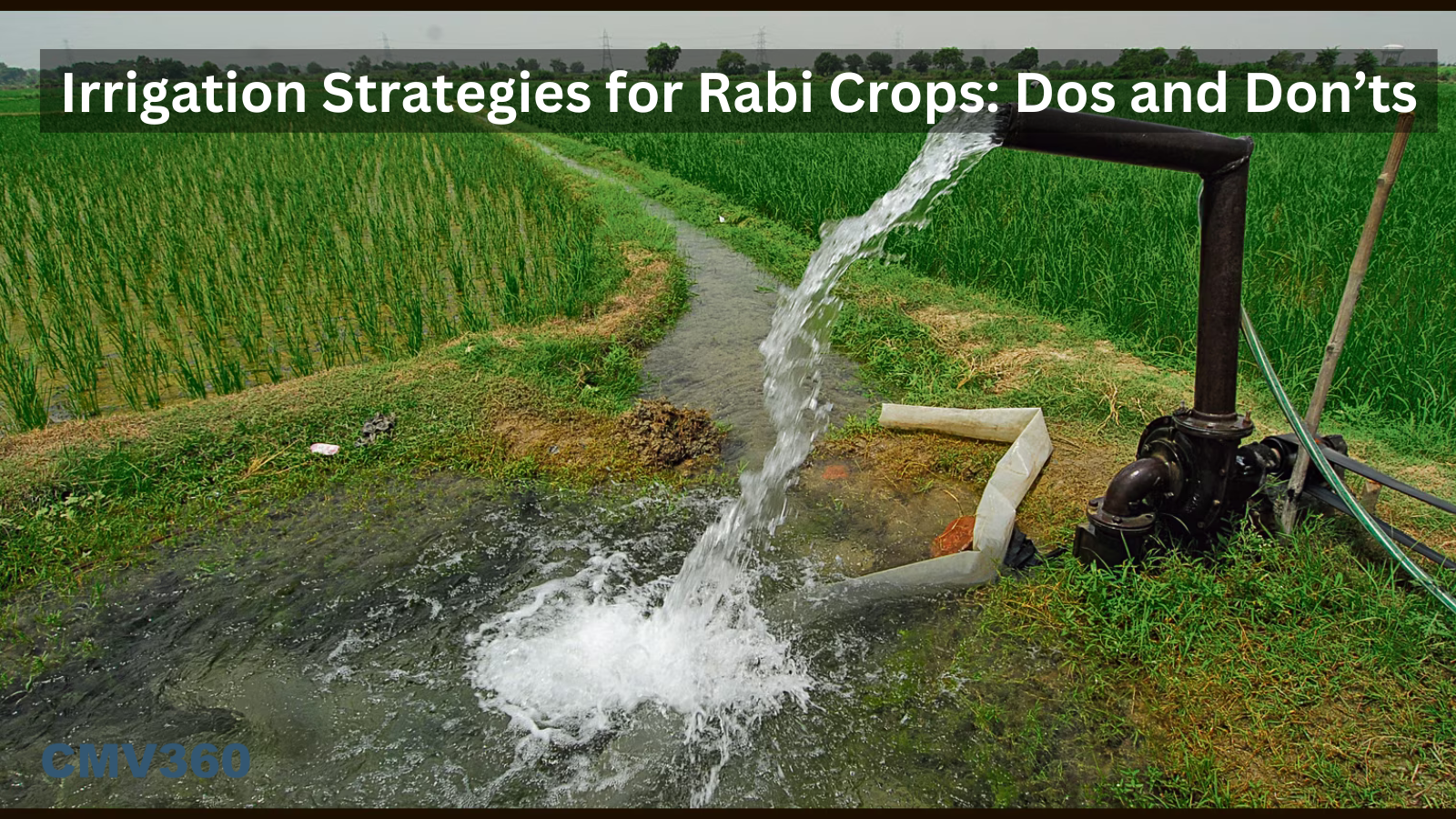 Irrigation Strategies for Rabi Crops: Dos and Don’ts Irrigation_Strategies_for_Rabi_Crops_Dos_and_Don_ts_5beeb03163.png