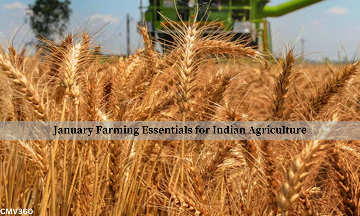 January Farming Essentials: Rabi Crop Insights for Indian Agriculture Know_About_the_Latest_Trends_and_Innovations_12_c49ad07639.png