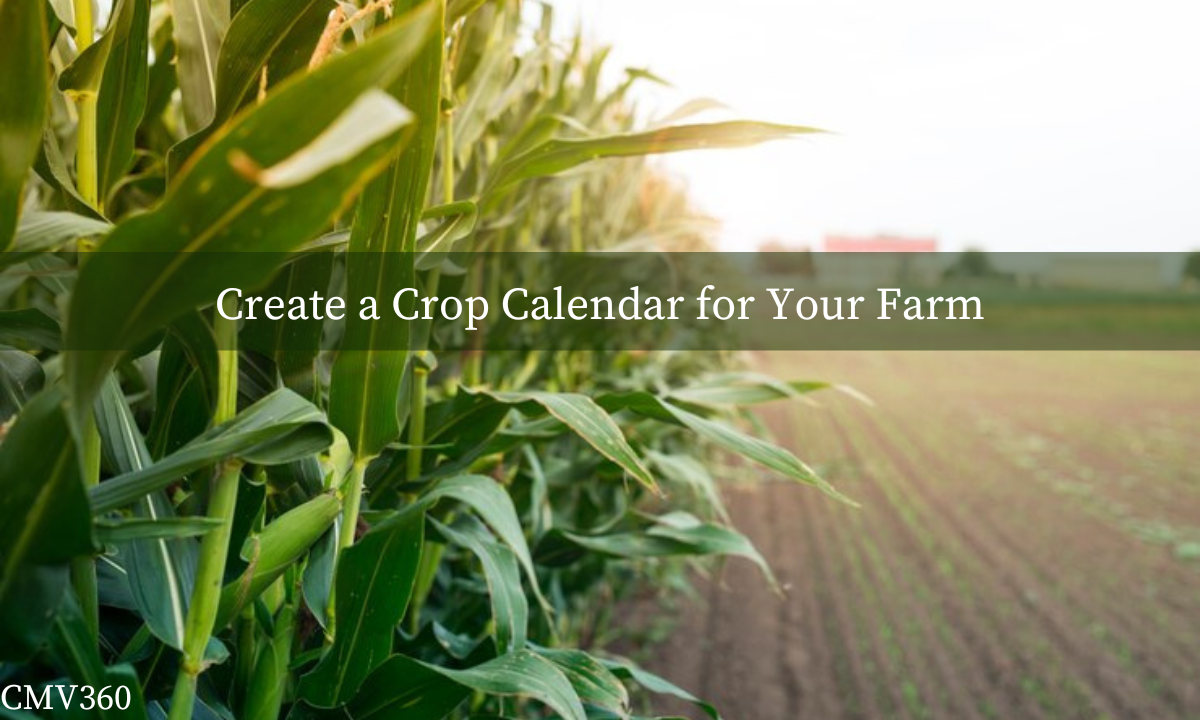 How to Create a Crop Calendar for Your Farm in 2024 Know_About_the_Latest_Trends_and_Innovations_14_ef59f0abb5.png