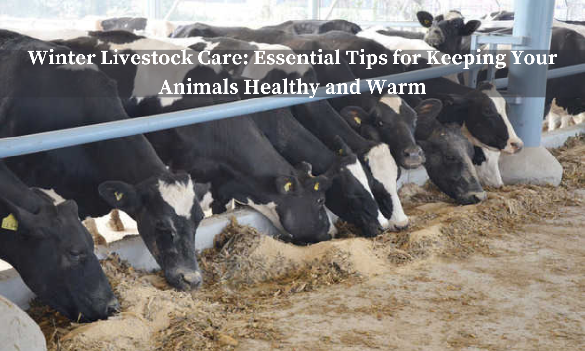 Winter Livestock Care: Essential Tips for Keeping Your Animals Healthy and Warm Know_About_the_Latest_Trends_and_Innovations_16_c0f805f099.png