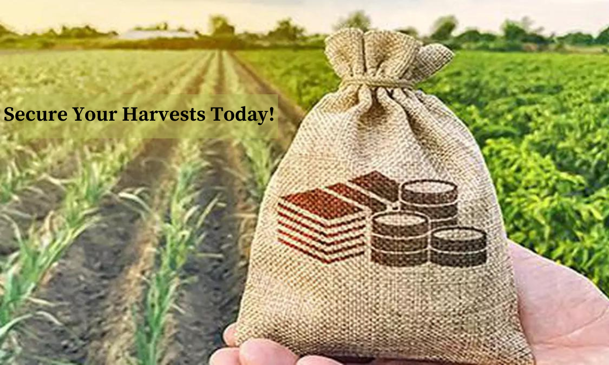 Securing Harvests: The Evolving Landscape of Crop Insurance in India Know_About_the_Latest_Trends_and_Innovations_19_636505946d.png