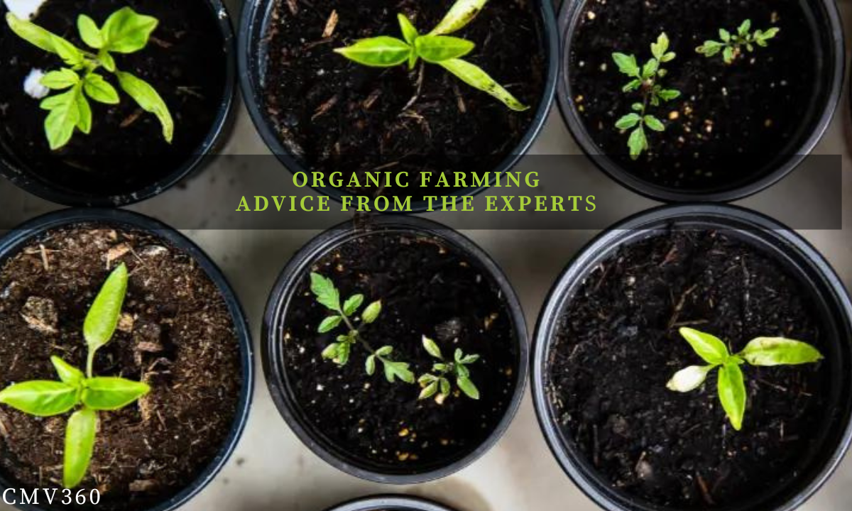 Organic Farming FAQ - Advice from the Experts Know_About_the_Latest_Trends_and_Innovations_4_7a431082fe.png