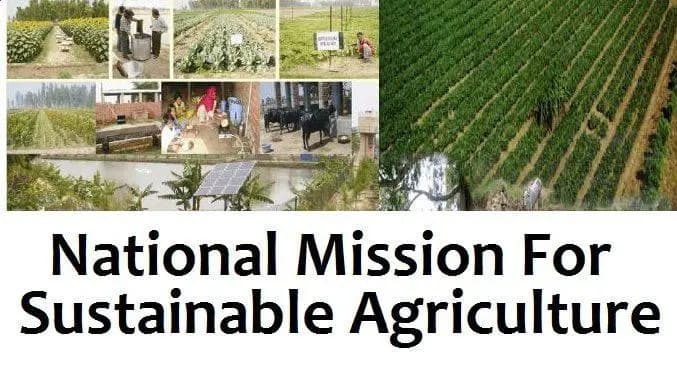 National Mission for Sustainable Agriculture