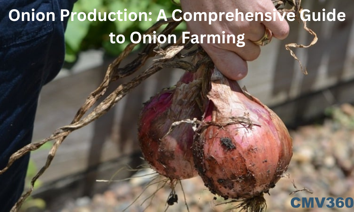Onion Production: A Comprehensive Guide to Onion Farming Onion_Production_A_Comprehensive_Guide_to_Onion_Farming_6e55515b04.png