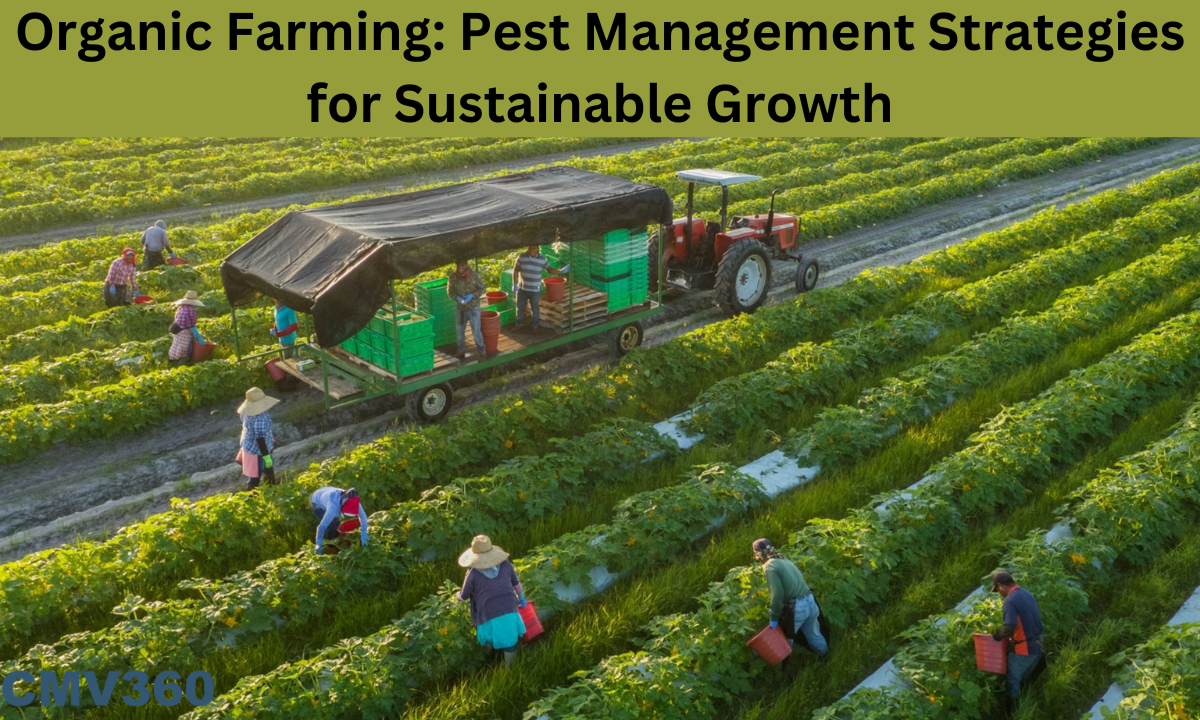 Organic Farming: Pest Management Strategies for Sustainable Growth Organic_Farming_Pest_Management_Strategies_for_Sustainable_Growt_9ac288ca98.png