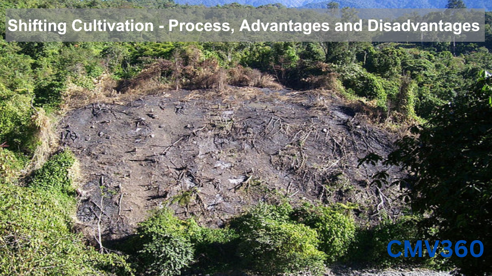 Shifting Cultivation - Process, Advantages and Disadvantages Shifting_Cultivation_1_a83f187694.png