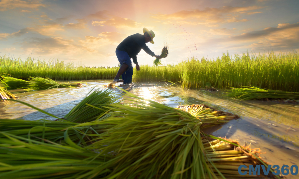 top-10-government-agriculture-initiatives-for-farmers