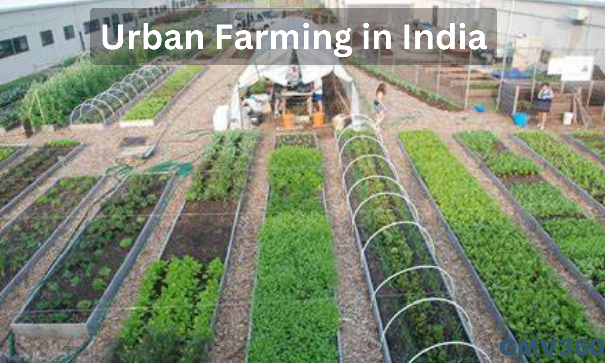 Urban Farming in India: Types, Process and Benefits Urban_Farming_in_India_aa7b842c20.png