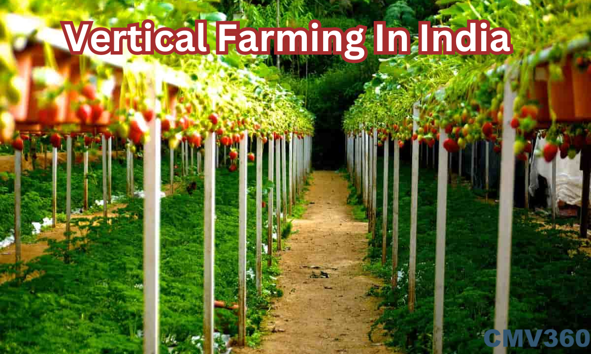 Vertical Farming In India: Types and benefits Vertical_Farming_In_India_7fabbc7342.png