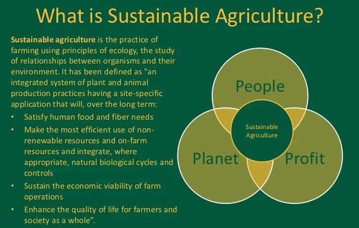 What is National Mission for Sustainable Agriculture (NMSA)