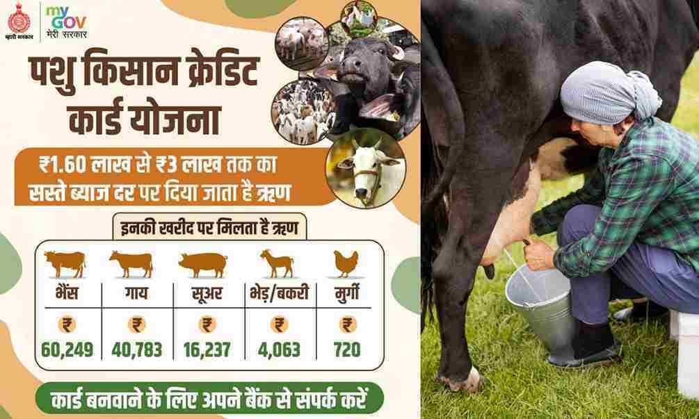 pashu-Kisan-credit-card-Yojana.jpg