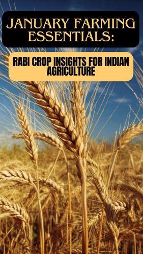 <p>January Farming Essentials: Rabi Crop Insights for Indian Agriculture</p> <p>January Farming Essentials: Rabi Crop Insights for Indian Agriculture</p>
