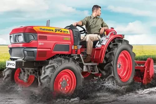 Jivo 365 DI