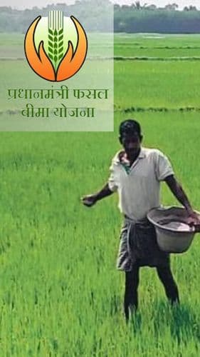 <p>प्रधानमंत्री फसल बीमा योजना में उन्नत कवरेज अभियान के साथ ओडिशा में उल्लेखनीय वृद्धि देखी जा रही है</p> <p>प्रधानमंत्री फसल बीमा योजना में उन्नत कवरेज अभियान के साथ ओडिशा में उल्लेखनीय वृद्धि देखी जा रही है</p>