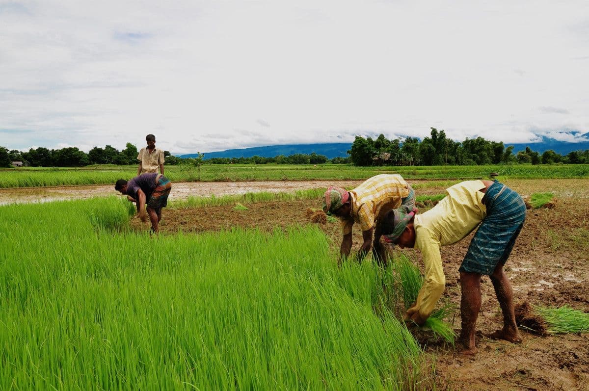 types of farming in india
