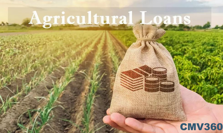 Agriculture Loans: Types, Interest Rates, Eligibility Criteria, Documents Required And How To Apply