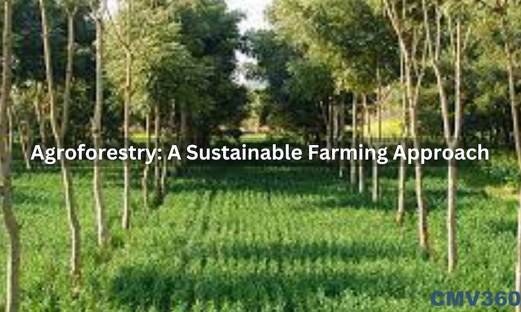 Introduction to Agroforestry: A Sustainable Farming Approach